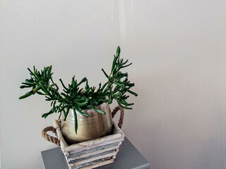 Casa de vacaciones Vielsalm  33