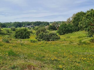 Casa per le vacanze Knebel  9
