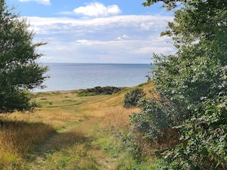 Ferienhaus Knebel  3