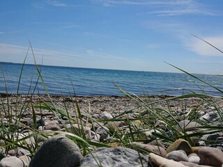 Holiday house Knebel  17