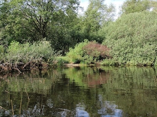 Ferienhaus Ansager  17