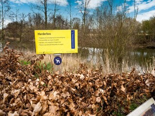 Maison de vacances Biddinghuizen Environnement 41