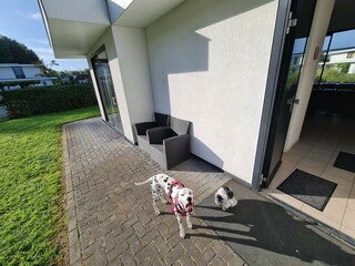 Vakantiehuis Biddinghuizen Buitenaudio-opname 9