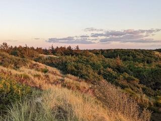 Ferienhaus Vejers Strand  27