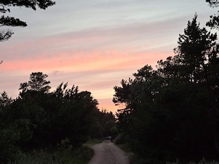 Ferienhaus Vejers Strand  5