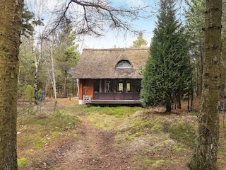Vakantiehuis Blåvand  26