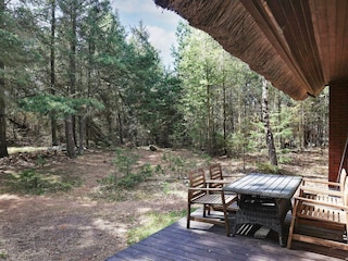 Vakantiehuis Blåvand  9