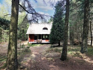 Vakantiehuis Blåvand  12