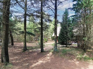 Vakantiehuis Blåvand  15