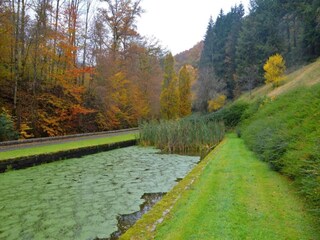 Ferienhaus Vresse-sur-Semois Umgebung 29