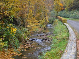 Maison de vacances Vresse-sur-Semois Environnement 38