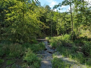 Vakantiehuis Vresse-sur-Semois Omgeving 30