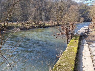 Maison de vacances Vresse-sur-Semois Environnement 39