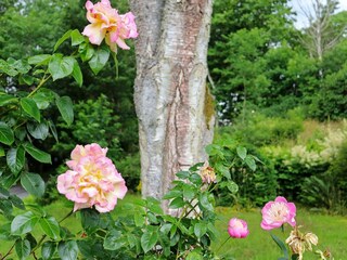 Ferienhaus Lerkil Außenaufnahme 1