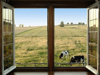 Holiday cottage Darlowo Outdoor Recording 3