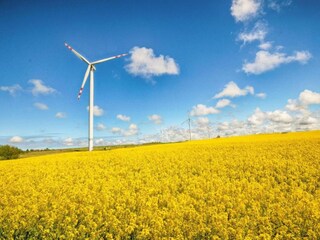 Casa vacanze Darlowo Ambiente 31