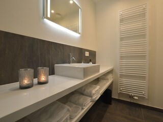 Villa Dendermonde Kenmerken 30