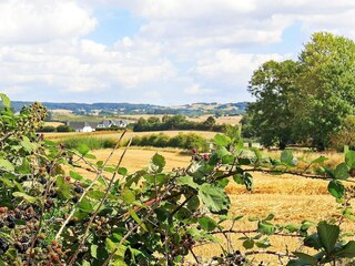 Appartement Millinge  31