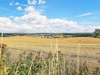 Appartement Millinge  21