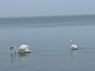 Appartamento Millinge  34