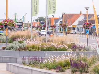 Maison de vacances Callantsoog Environnement 31