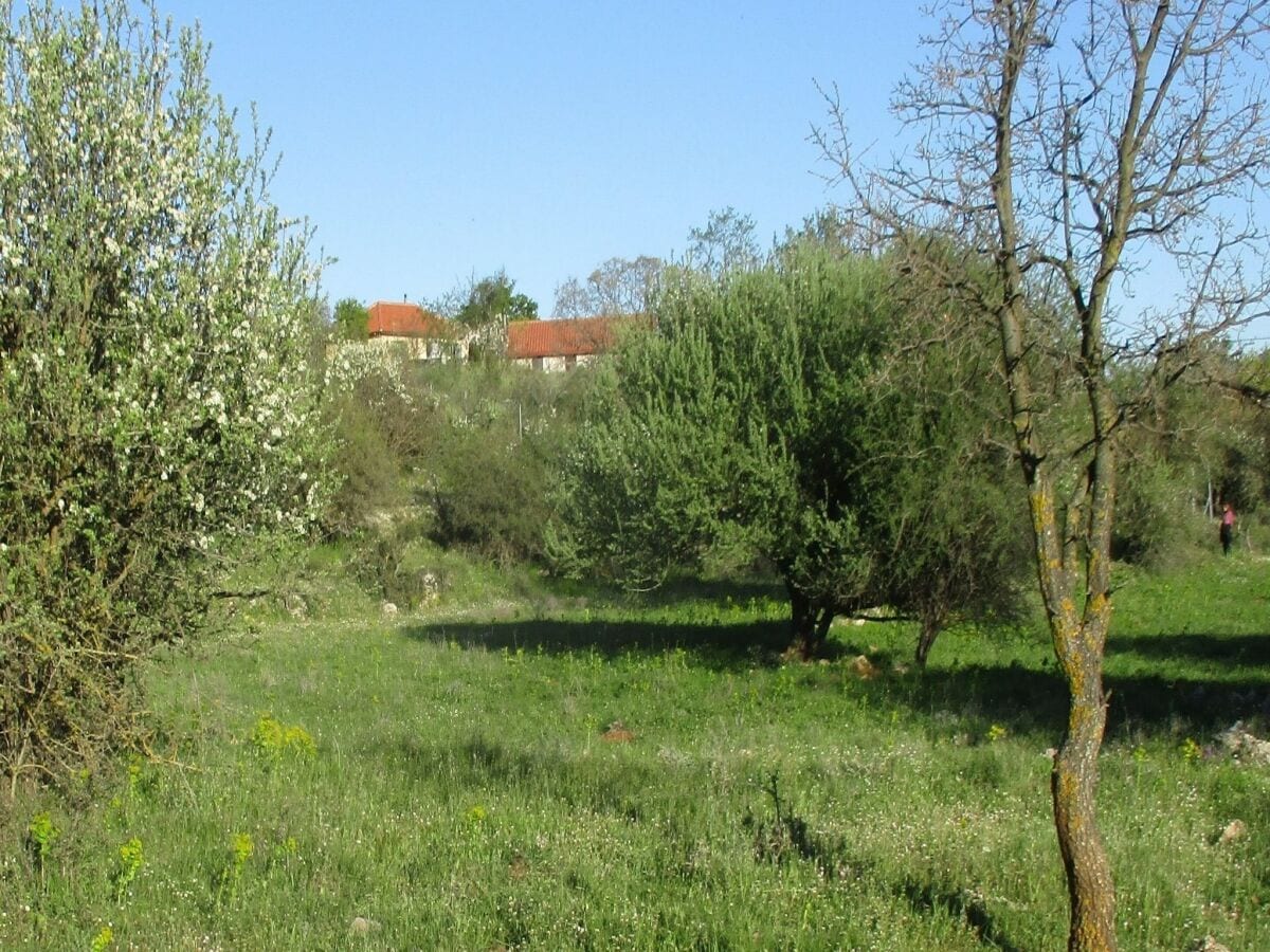 Ferienhaus Leonidio Außenaufnahme 8