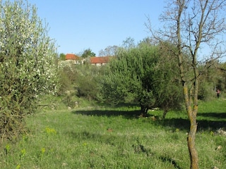 Ferienhaus Leonidio Außenaufnahme 5