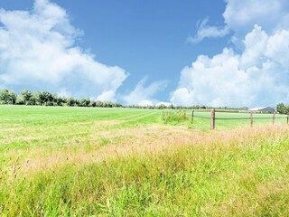 Chalet Rheezerveen Environnement 39