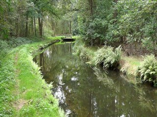 Chalet Rheezerveen Environnement 36