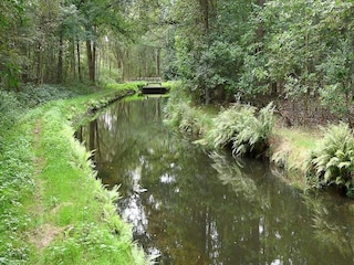 Chalet Rheezerveen Umgebung 35