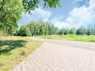 Chalet Rheezerveen Umgebung 31