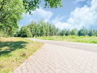 Chalet Rheezerveen Umgebung 38