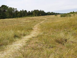 Vakantiehuis Vaeggerløse  37