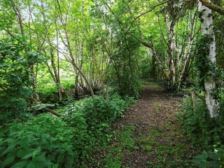 Holiday house Vejby Strand  22