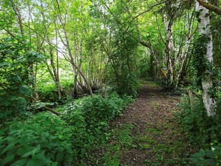 Casa de vacaciones Vejby Strand  13