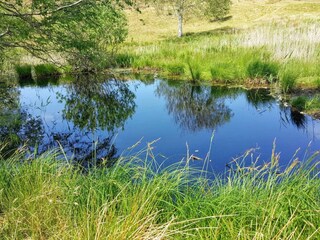 Holiday house Vejby Strand  5