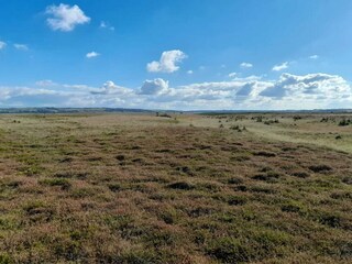 Casa per le vacanze Gjellerodde  11