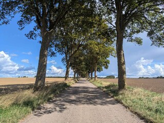 Vakantiehuis Stavreby  14