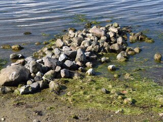 Holiday house Stavreby  29