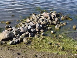 Holiday house Stavreby  7