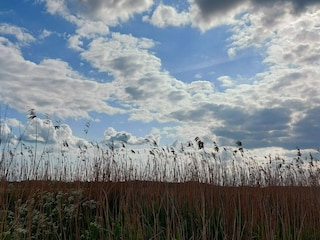 Holiday house Stavreby  24