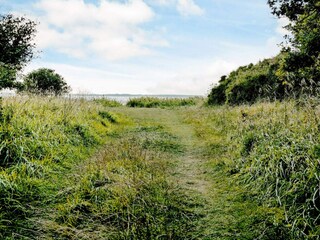 Ferienhaus Jægerspris Außenaufnahme 1