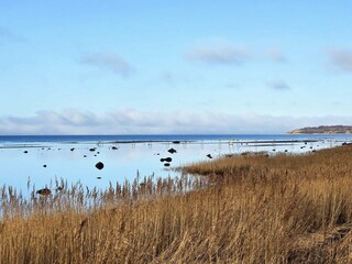 Casa per le vacanze Jægerspris  10
