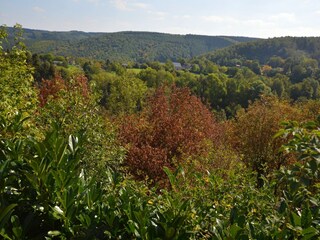 Vakantiehuis Theux Omgeving 36