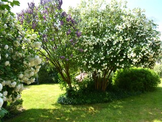 Maison de vacances Maredret  39