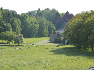 Vakantiehuis Maredret Buitenaudio-opname 7