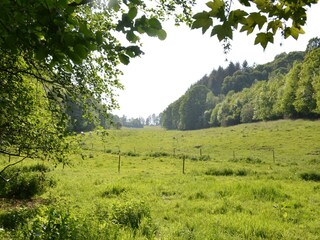 Vakantiehuis Maredret Omgeving 34