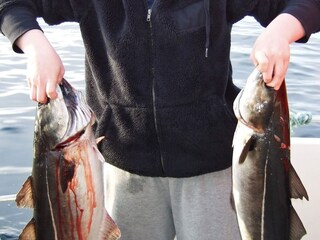 Casa per le vacanze Rebbenes Registrazione all'aperto 3