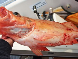 Casa de vacaciones Rebbenes  20