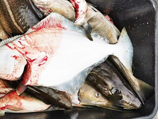 Vakantiehuis Rebbenes  28